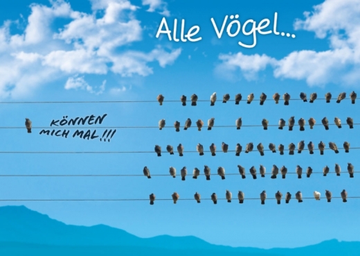 Postkarte - Alle Vögel...