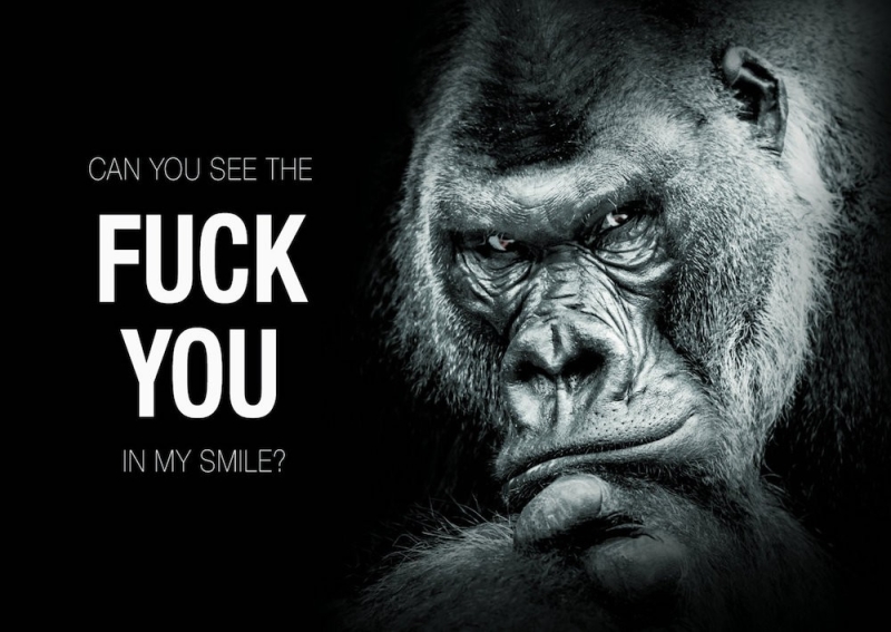 Postkarte - Can you see the ..F#ck You