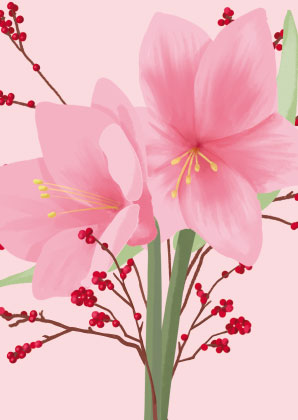 Postkarte  - Toni Starck - Amaryllis