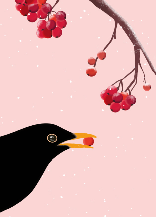 Postkarte - Toni Starck - Blackbird / Amsel